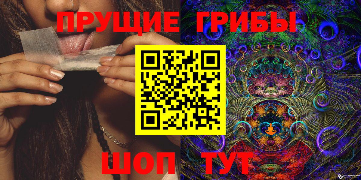 дарнет шоп  Псилоцибиновые грибы прущие грибы  Вход с VPN  Изобильный 
