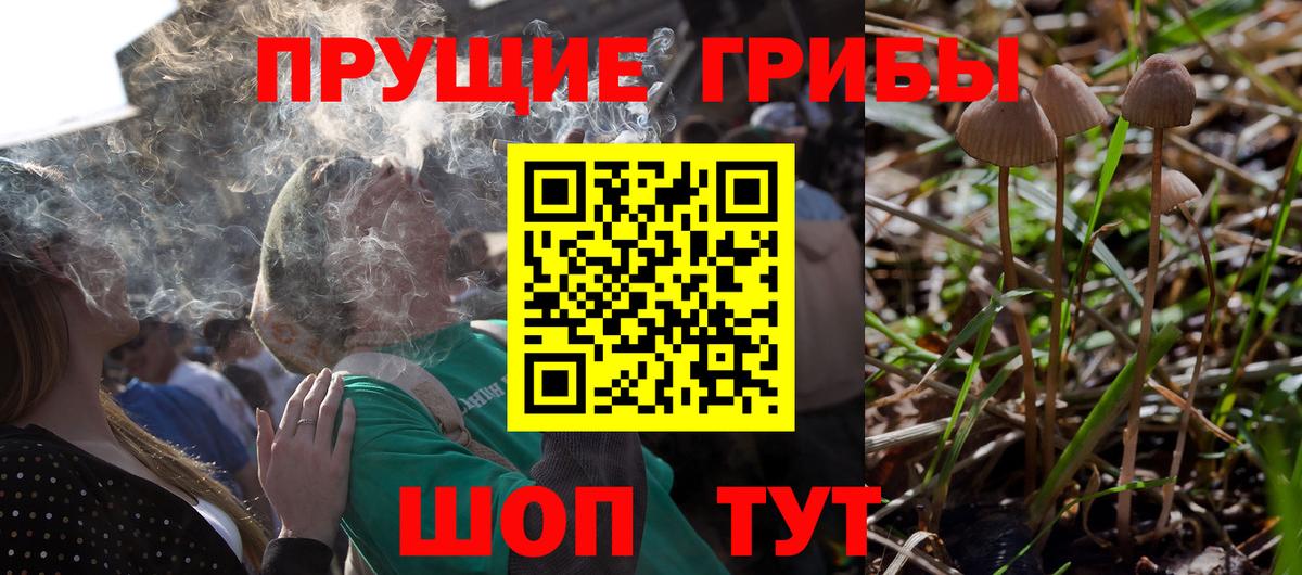 Псилоцибиновые грибы ЛСД Изобильный