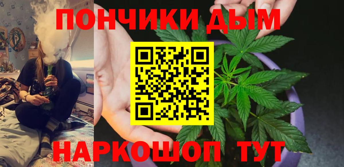 Канабис план  Конопля Bruce Banner  Вход с VPN  Изобильный  Бошки марихуана конопля 